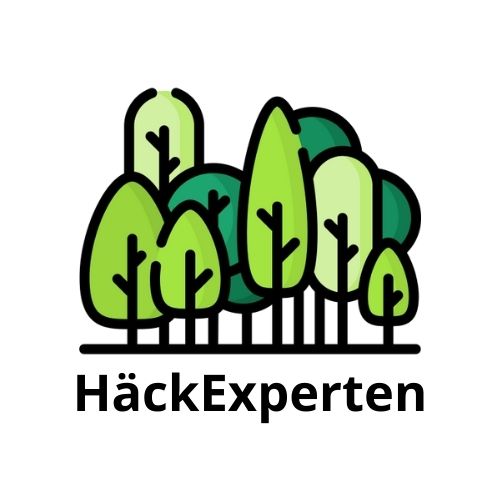 Hackexperten